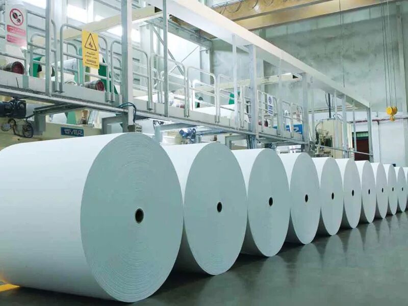 Целлюлозно-бумажная промышленность. Завод по производству бумаги. Бумага в рулонах для производства. Бумага промышленность. Крупные бумажные производители