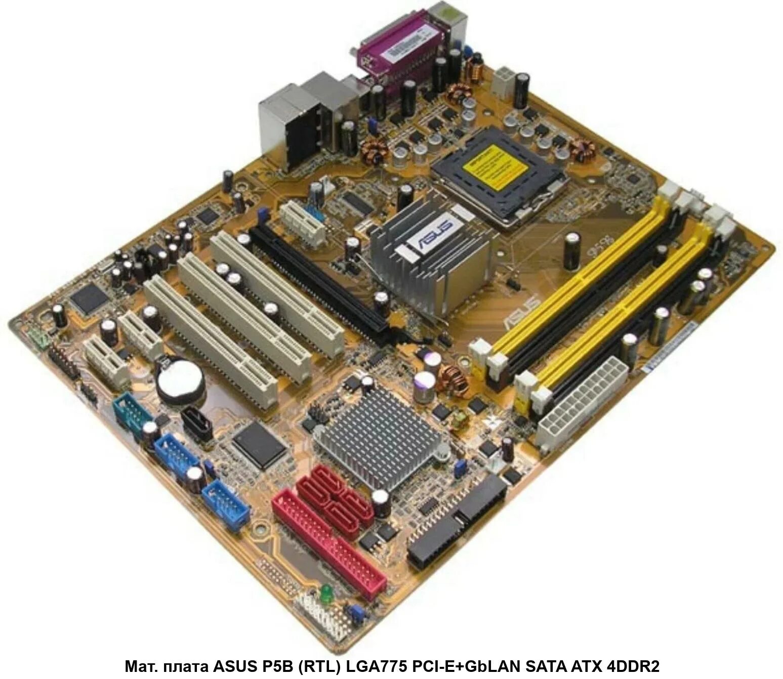 Asus p2e-b. Asus p5b процессор. Asus lga775 p5b. Материнская плата asus p5b. Материнская плата асус p5b.