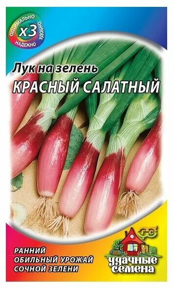 Красный салатный. Лук репчатый красный салатный удачные семена. Лук на зелень репчатый красный салатный,. Лук красный салатный гавриш. Красный салатный.
