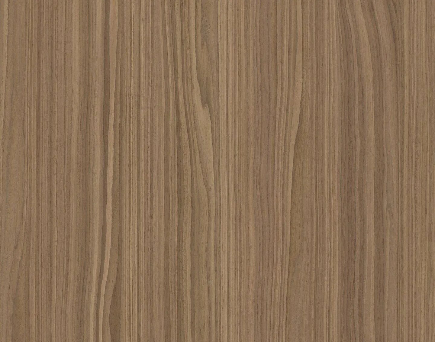 Шпон Alpi Chocolate Wavy American Walnut 10.19 Alpy