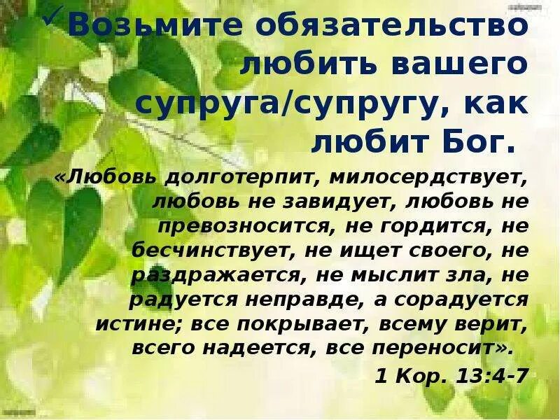 Любовь долготерпит милосердствует любовь не превозносится. Любовь не завидует не превозносится не гордится не бесчинствует. Любовь не завидует не ищет своего. Любовь не завидует Библия. Любовь долготерпит милосердствует.