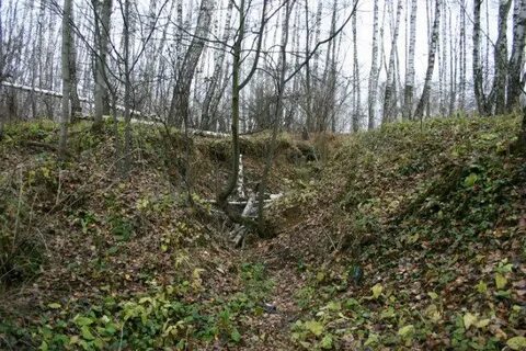 Причина массового развития оврагов в черноземье
