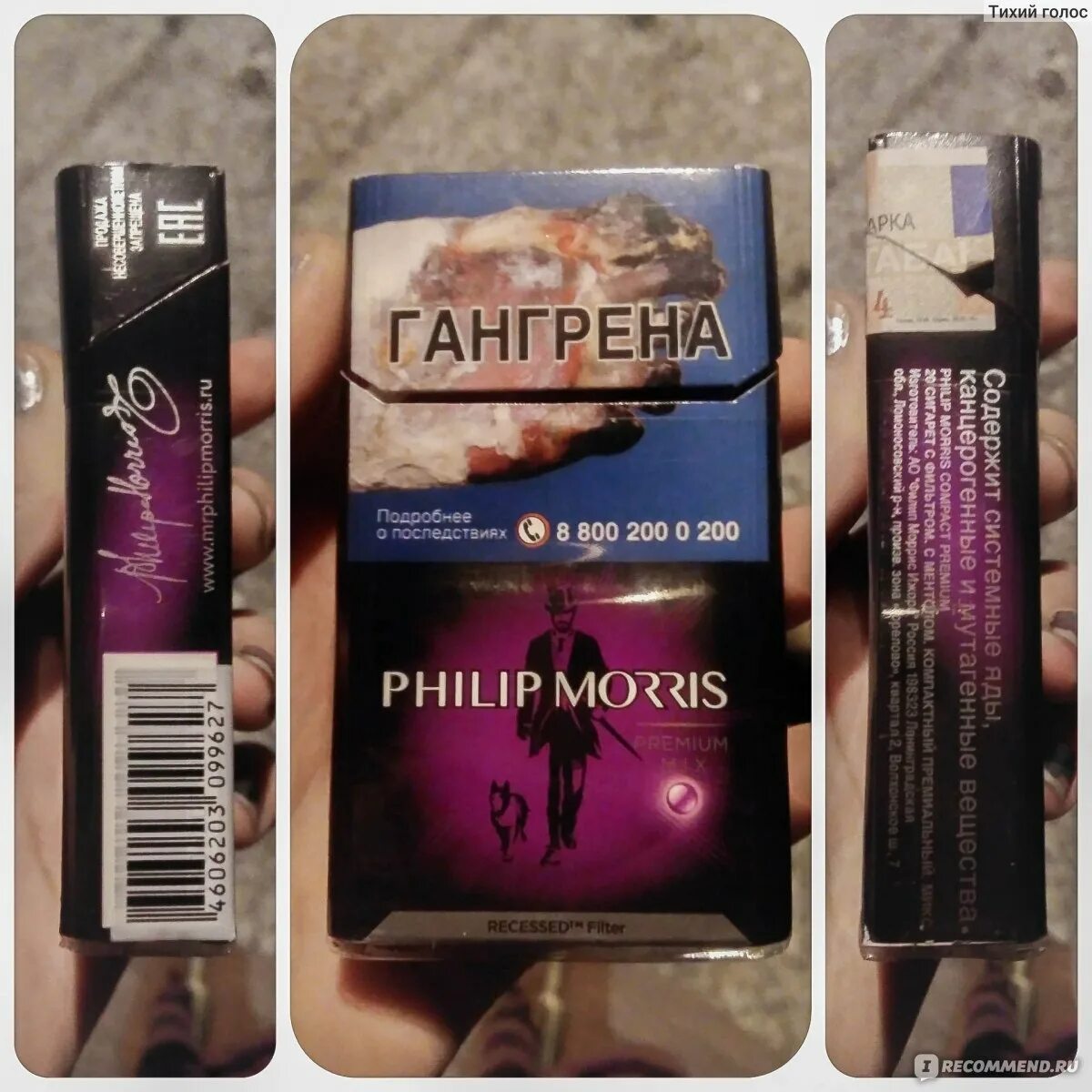 Philip Morris Compact Premium. Сигареты премиум микс Филип. Сигареты Philip Morris Compact Premium яркий.