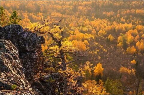 Уральские горы осенью