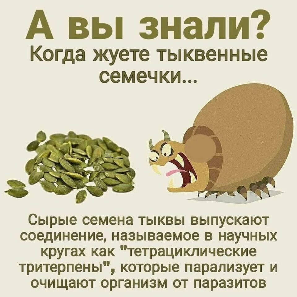 Сколько нужно съесть семечек