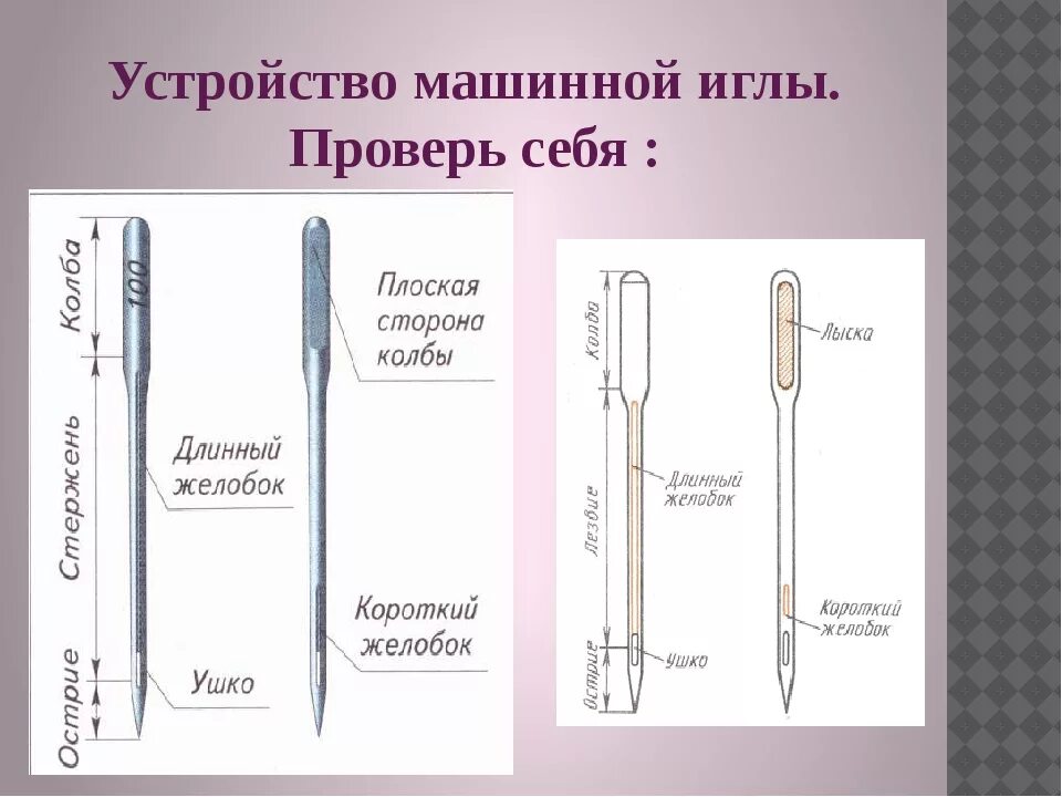 Строение машинной иглы схема. Строение машинной швейной иглы. Схема устройства швейной иглы. Устройство машинной иглы 5 класс технология.