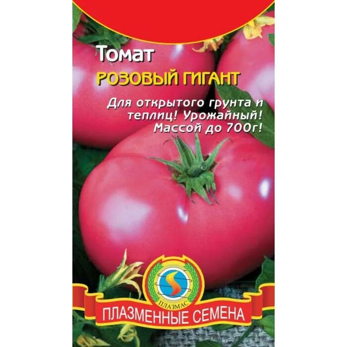 Характеристика и урожайность томата розовый гигант. Томат розовый гигант. розовый гигант помидоры семена. помидоры розовый великан. помидоры гиганты для открытого грунта.
