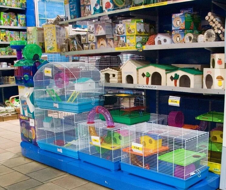 Animals store. Магазин животных. Зоомагазин животных. Магазин товаров для животных. Магазин домашних животных.