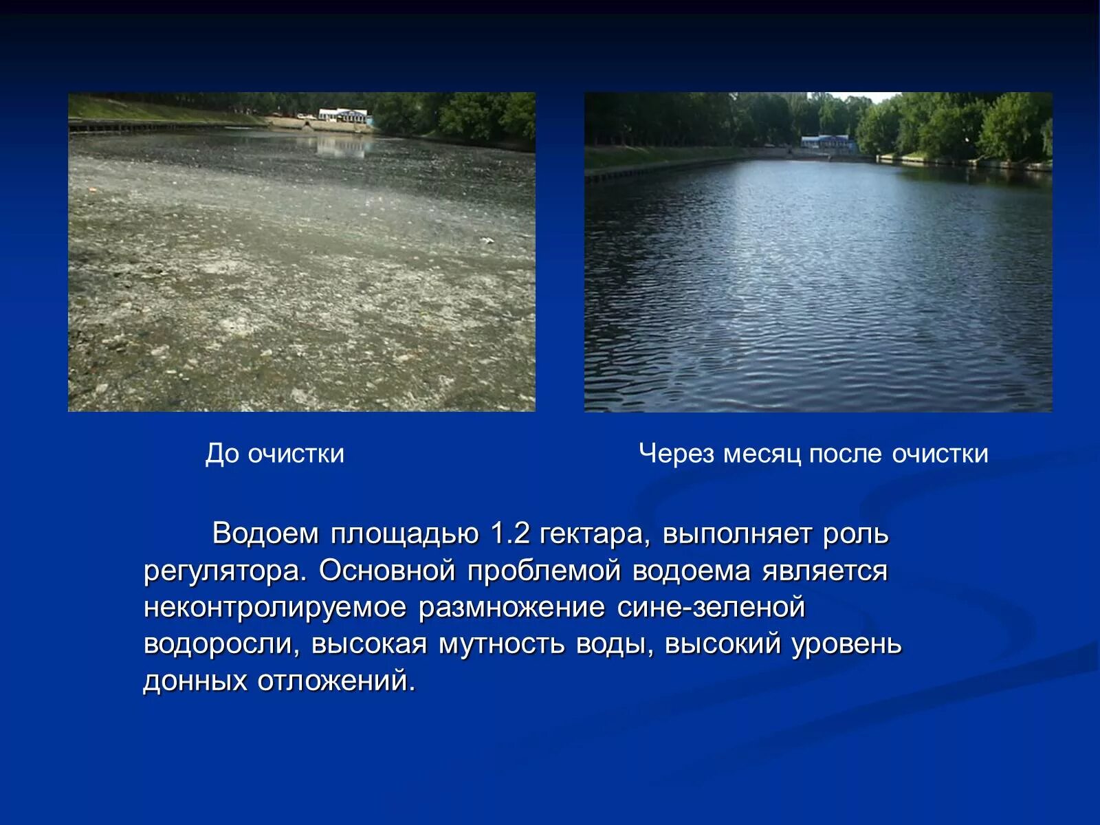 Очистки водоемов. Презентация на тему загрязнение водоемов. Проблемы водоемов. Мутность воды в водоемах. Вода высшей степени очистки 9 букв