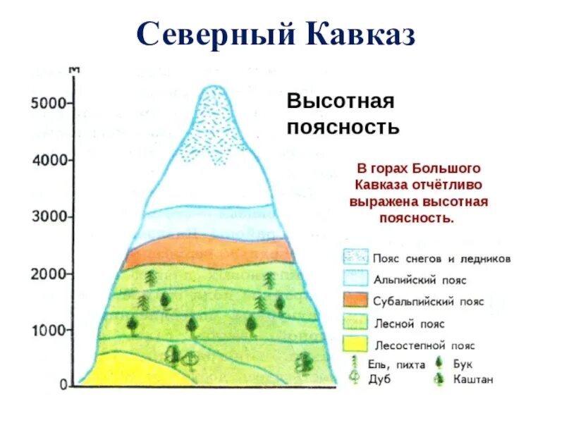 Сколько территории занимают горы. Северный Кавказ схема ВЫСОТНОЙ поясности. Высотная поясность Росси Кавказ. Схема ВЫСОТНОЙ поясности гор Кавказа. Высотная прясность кащвазских ГРР.