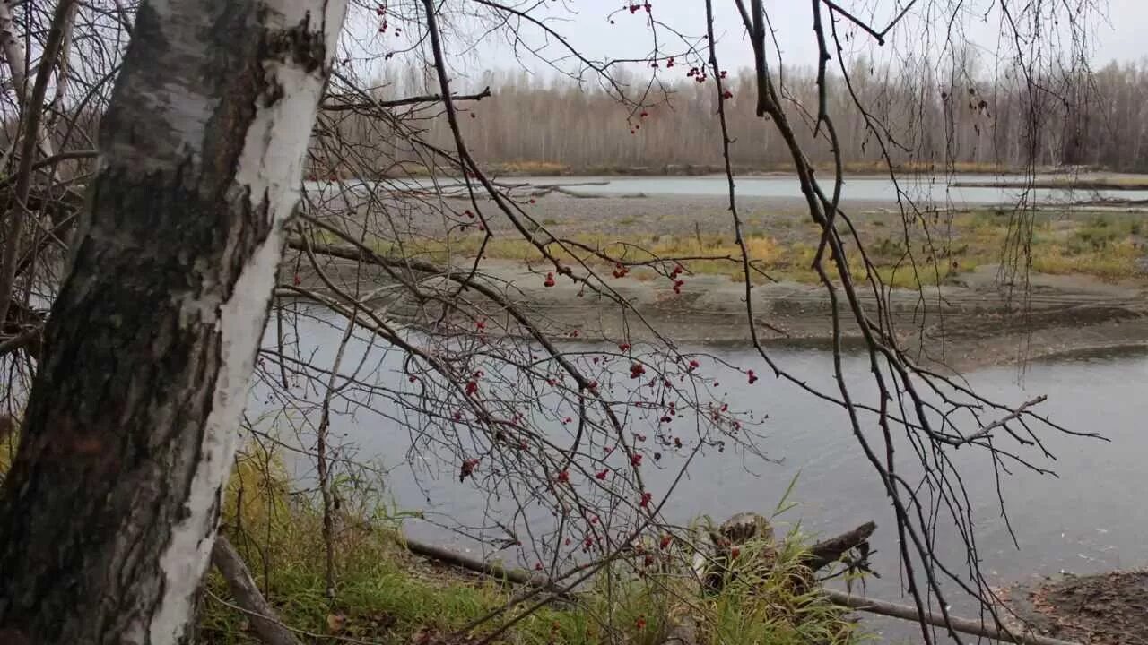 Река саша. Шум реки. Широка река. Звук реки. Тихая речушка.