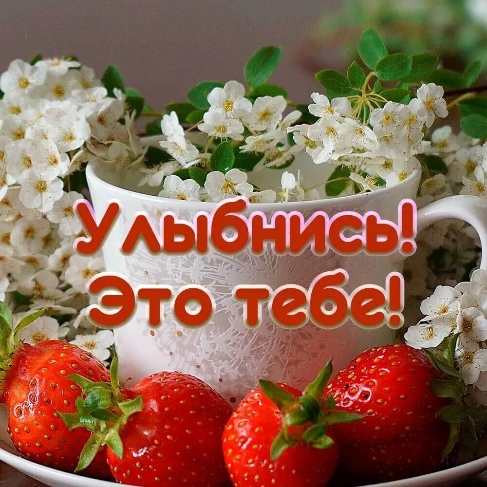 Улыбнись и все будет. Картинка улыбнись всё будет хорошо. картинки не грусти улыбнись. открытка улыбнись.