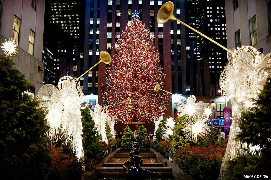 Day in new city. Предрождественский Нью-Йорк. США Рождество Нью Йорк. Рождественская елка в Нью-Йорке. Главная елка Нью-Йорка.