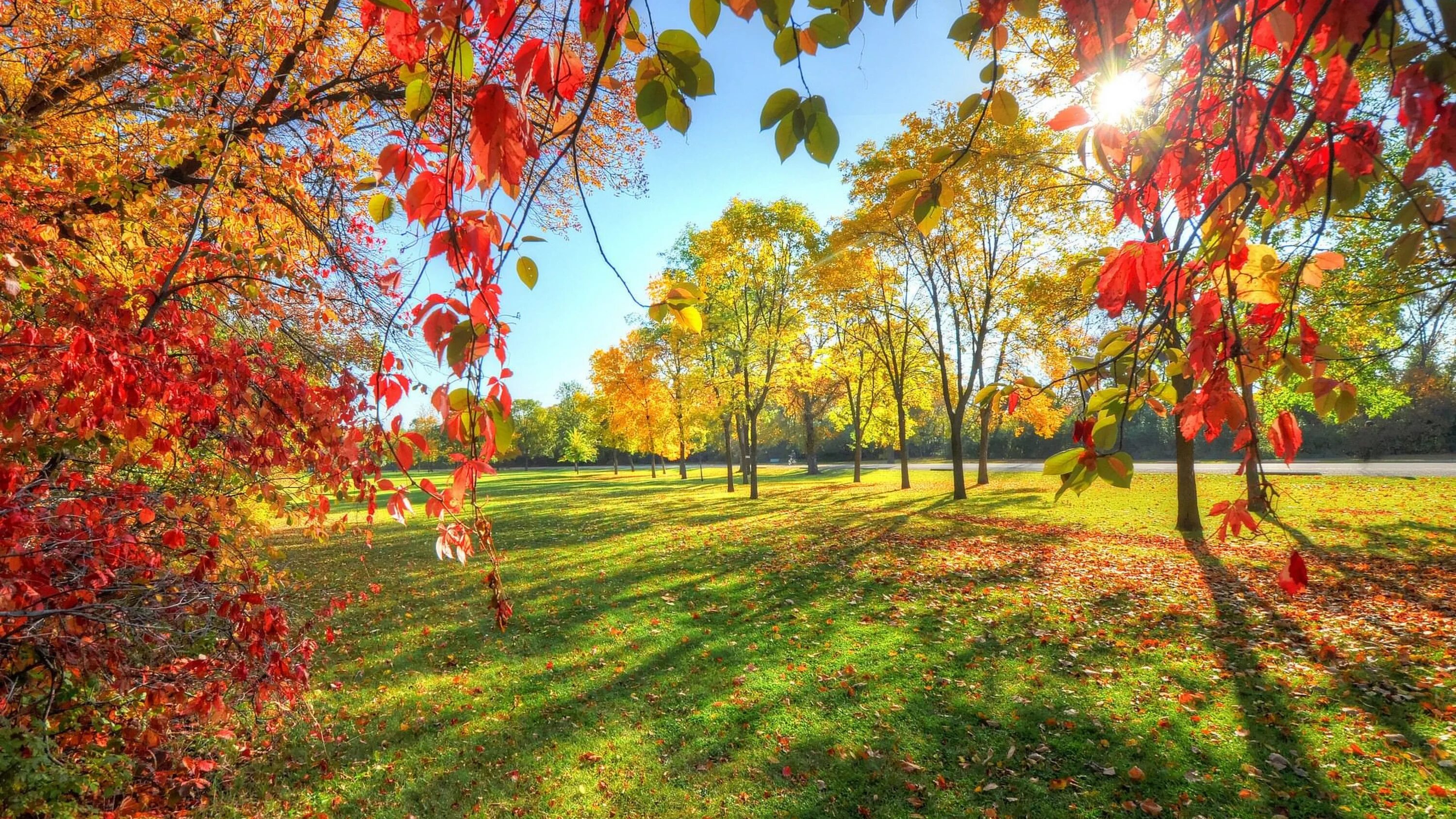 Сентябрь продолжение лета. Осенний парк. Ранняя осень. Осенняя природа. Красивая осень.