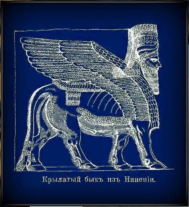Крылатый бык. Шеду Ассирия. Крылатые быки Ассирии. Ассирийский крылатый бык. Крылатый Лев Ассирия.