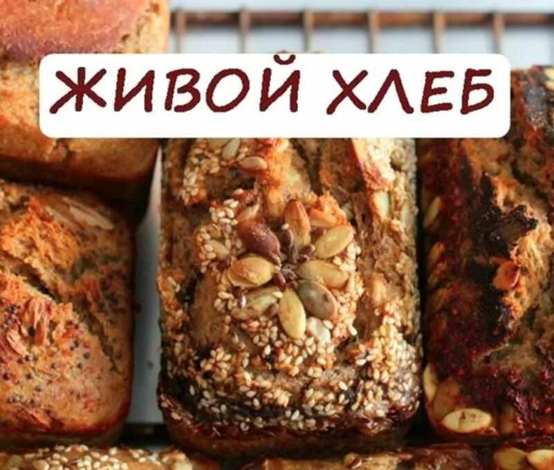 Живой хлеб минск. Хлеб минск. Живой хлеб волгоград. Живой хлеб. Живой хлеб минск.