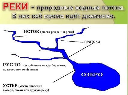Река впадает в кому
