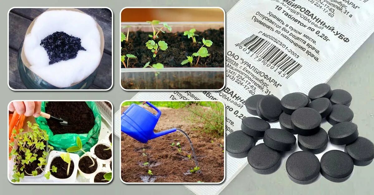 Активированный уголь. Древесный уголь для цветов комнатных. Полив активированным углем. Полив активированным углем. Уголь активированный, 250г.