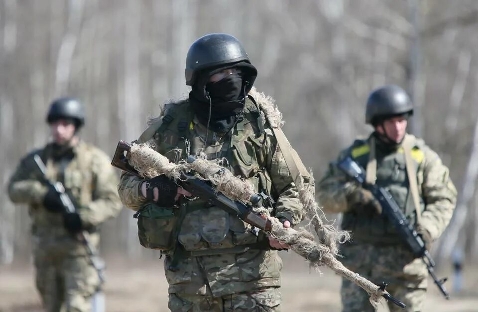 Диверсионная группа ВСУ. Диверсионно-разведывательная группа (ДРГ). Дрг это что такое в армии