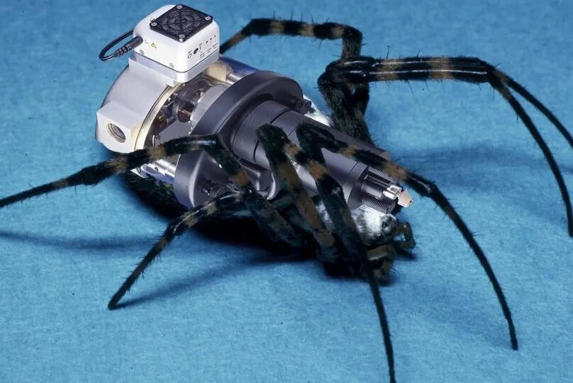 Upgrade camera spider