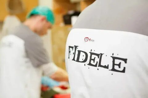 Fidele севастополь