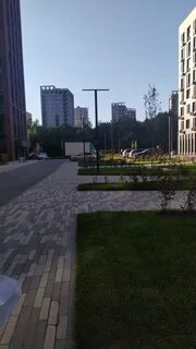 Грига 16