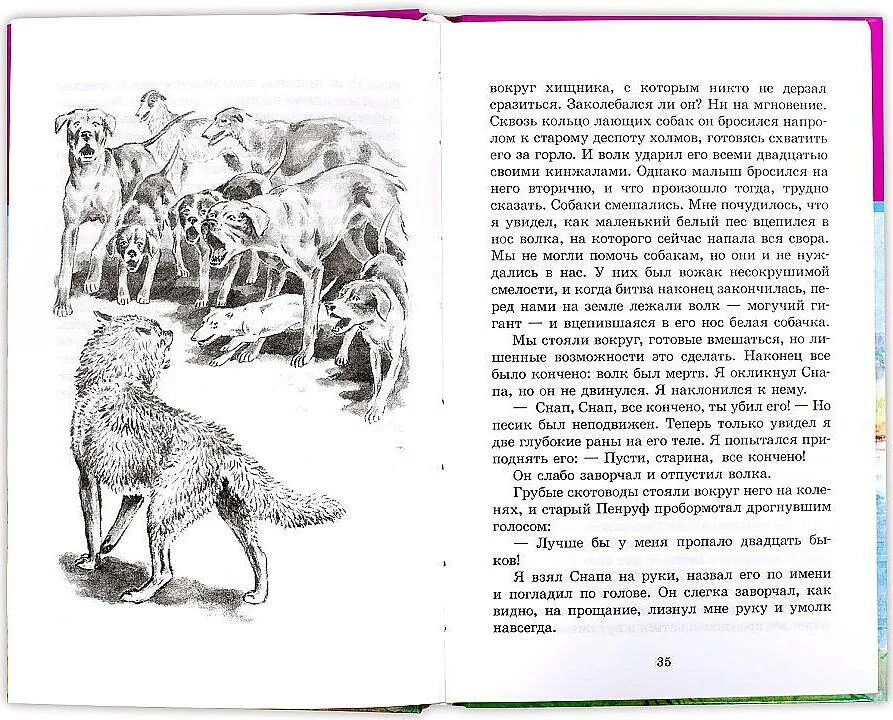 Томпсон книга о животных. Сетон-Томпсон рассказы о животных. Сетон-Томпсон э. "Школьная библиотека. Рассказы о животных". Рассказ о животных Сетон Томпсон Даррелл.