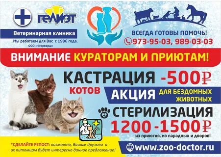 Ветеринарные клиники петербург