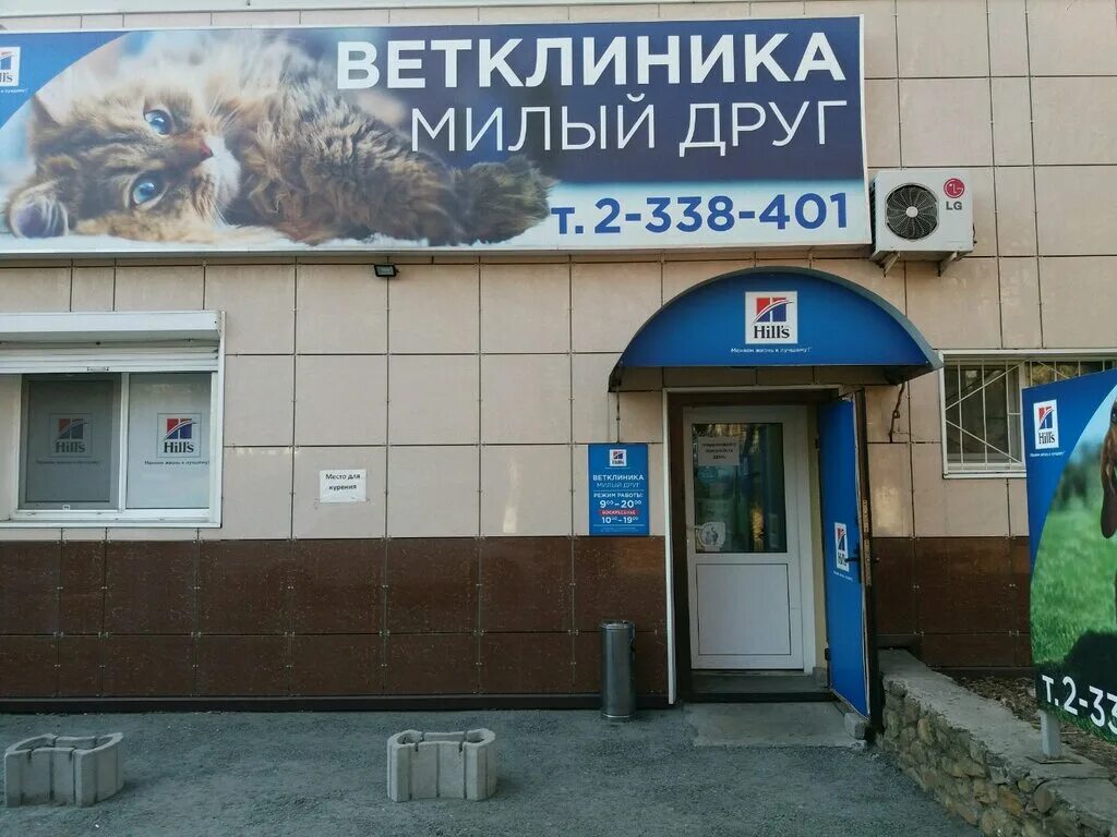 ветеринарная клиника кирово-чепецк. ул кирова ветклиника. щорса 35 киров. ветеринарная лечебница ижевск. ветклиника волгоград.