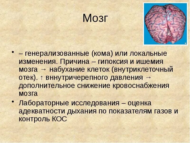 Ишемия кислородное голодание мозга. Отек набухание головного мозга. Мозговая кома причины