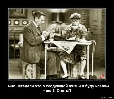 Жизнь в следующем веке