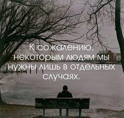 Сожилению или сожалению