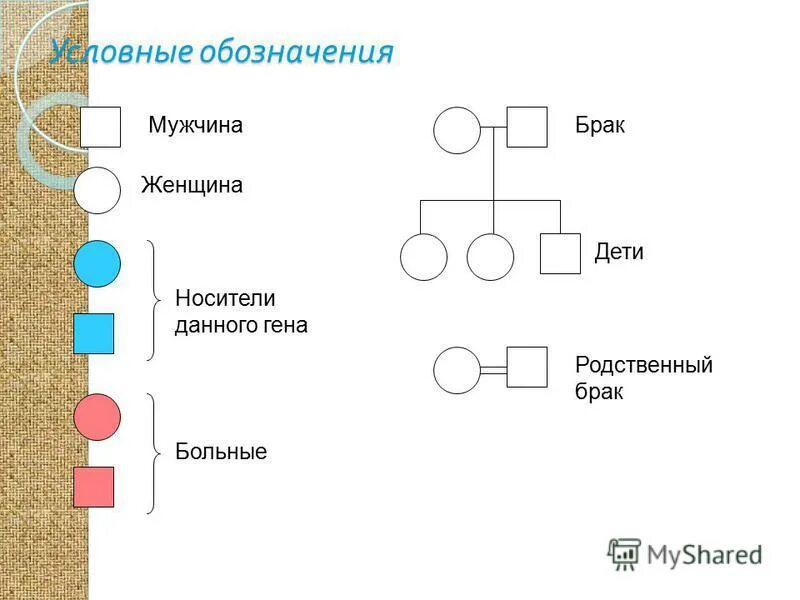 Родственные браки. Родственные браки генетика. Родственный брак это в генетике. Дети близкородственных браков. Почему близкородственные браки