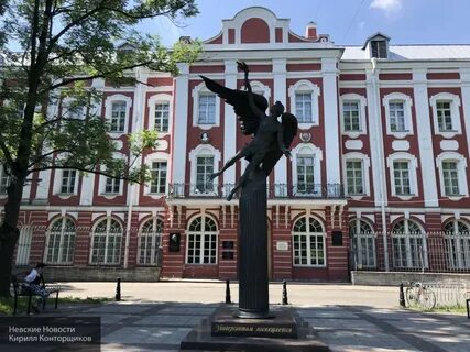 Смогу университет