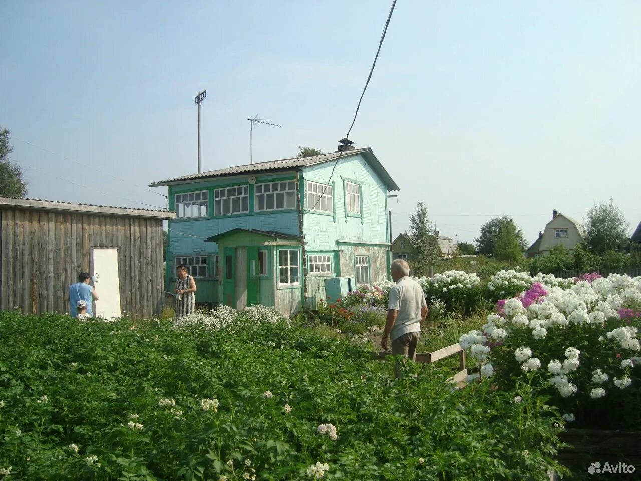 Дачи архангельская область. Дача в архангельске весной. Ластола архангельская область. Дачная 51 архангельск. Дачи архангельская область.