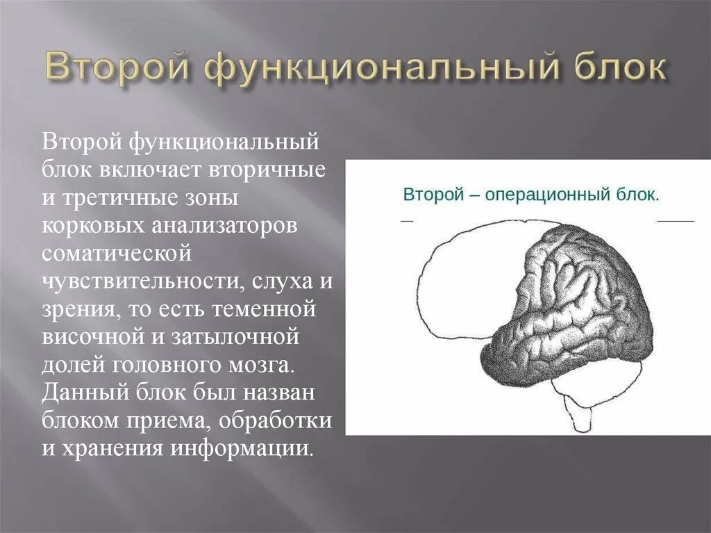 Использование функциональных блоков