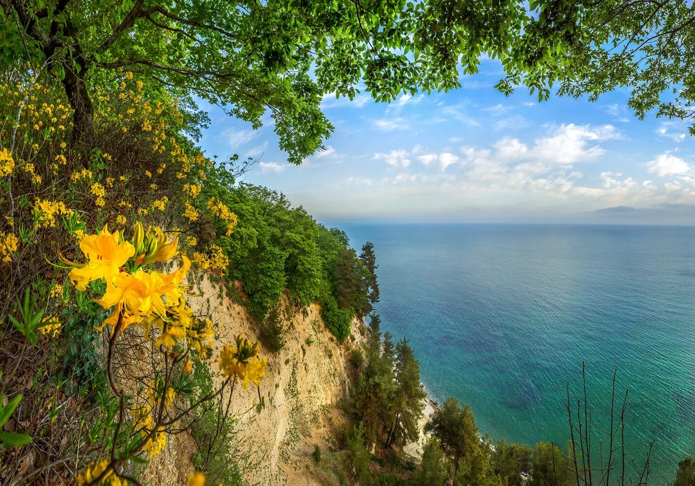 Ландшафты кавказско-черноморского района. Горы черноморское побережье. Черное море краснодарский край. Юбк крыма горы. Горы черноморское побережье.