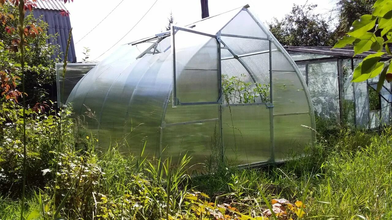 Теплицы чита соты. Сота теплицы чита. Мини теплица сота. Теплицы чита соты. Перчина теплица 4 м.