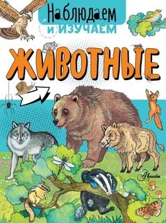 Animal book
