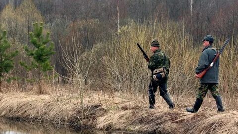 Штраф за отстрел