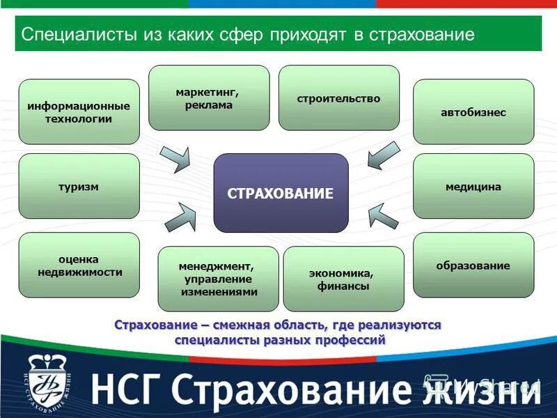 Учет в страховой рф. Деятельность страховых компаний. Сферы страхования. Сферы деятельности. Страховые компании относятся к.