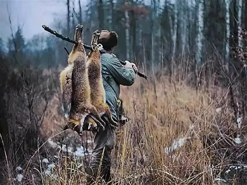 Собрать добычу. Охотничье браконьерство.