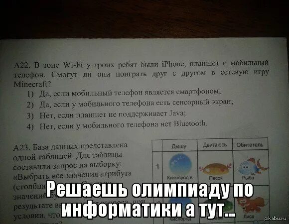 Мемы про информатиков. Шутки про информатиков. информатика приколы. мемы про информатику. смешные мемы про информатику.