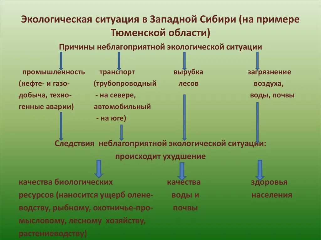 Экологические восточной сибири. Экологические проблемы Западной Сибири. Экологическиетпроблема Западной Сиб Ри. Экологическая ситуация это. Экологическая обстановка Западной Сибири.