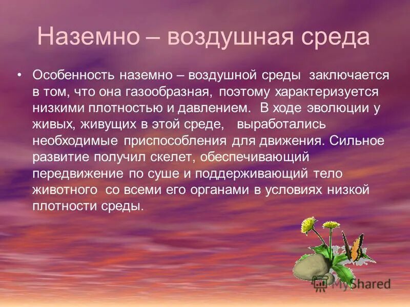 Окружение заключается. Характеристика наземно-воздушной среды. Наземно-воздушная среда обитания. Характеристика воздушно наземной среды.