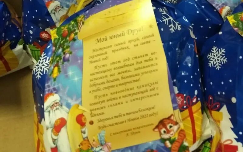 Новогодний подарок детям до скольки лет. Новогодний подарок от здунова. подарки на новый год от главы мордовии 2025. новогодний подарок от здунова 2025 года. подарок от главы мордовии на новый год.