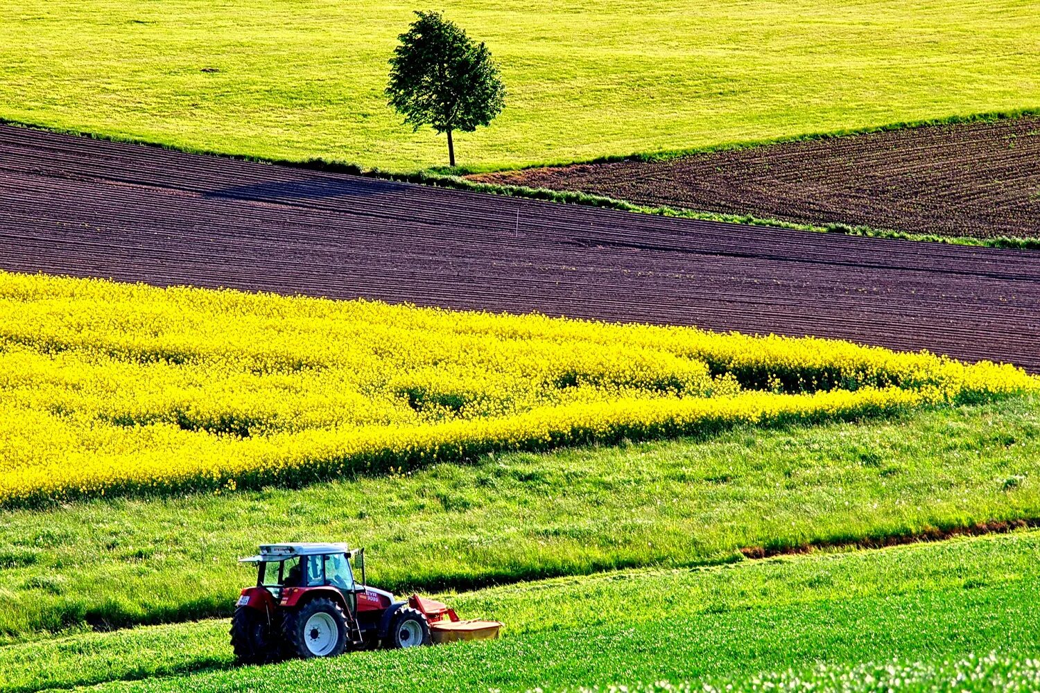 Растениеводство. Пахотные поля Украины. Сельское хозяйство. Поле сельское хозяйство. Сельское хозяйство Растениеводство.