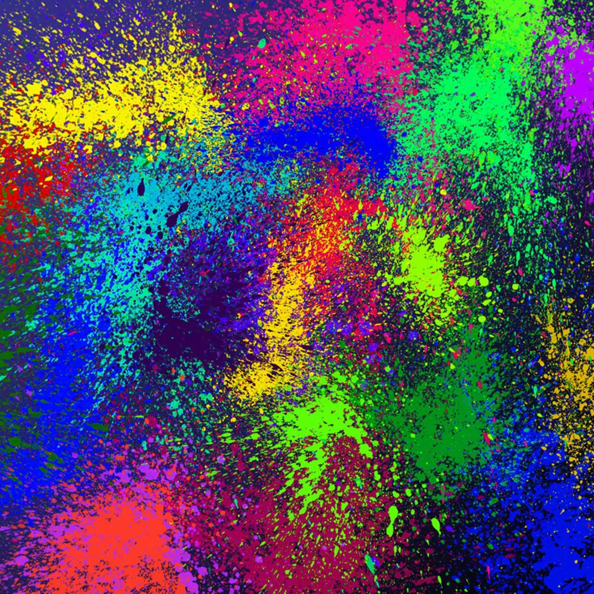 Paint d c