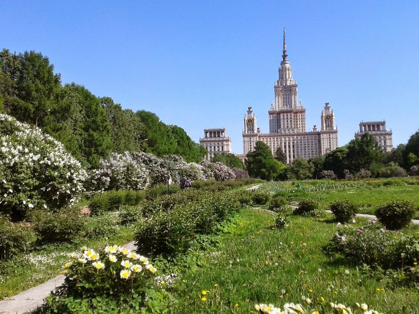 Ботанический сад мгу москва отзывы. Сады МГУ Воробьевы горы. Ботанический сад МГУ на Воробьевых горах. Ботанический сад биологического факультета МГУ. Ботанический сад МГУ Аптекарский огород.