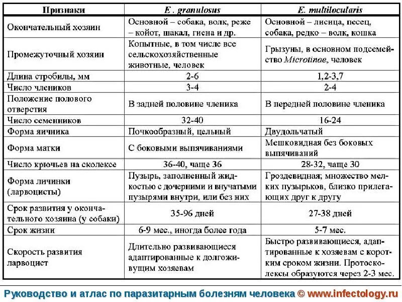 Паразитарные заболевания таблица. Болезни вызываемые паразитами. Инвазионные (паразитарные) заболевания. Сравнительная характеристика эхинококка и альвеококка таблица. Заболевания человека группа болезней